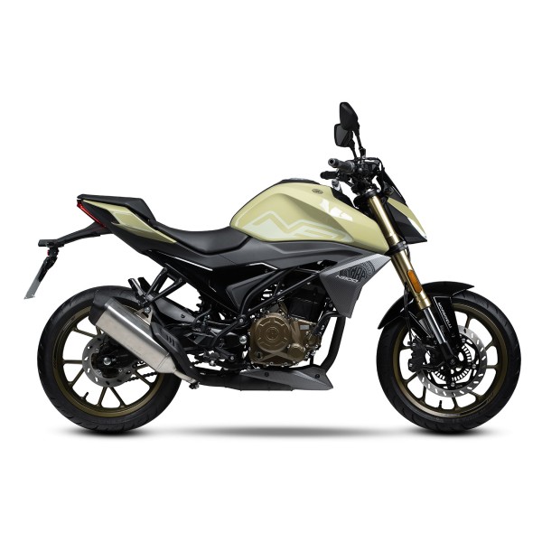 Morbidelli N300